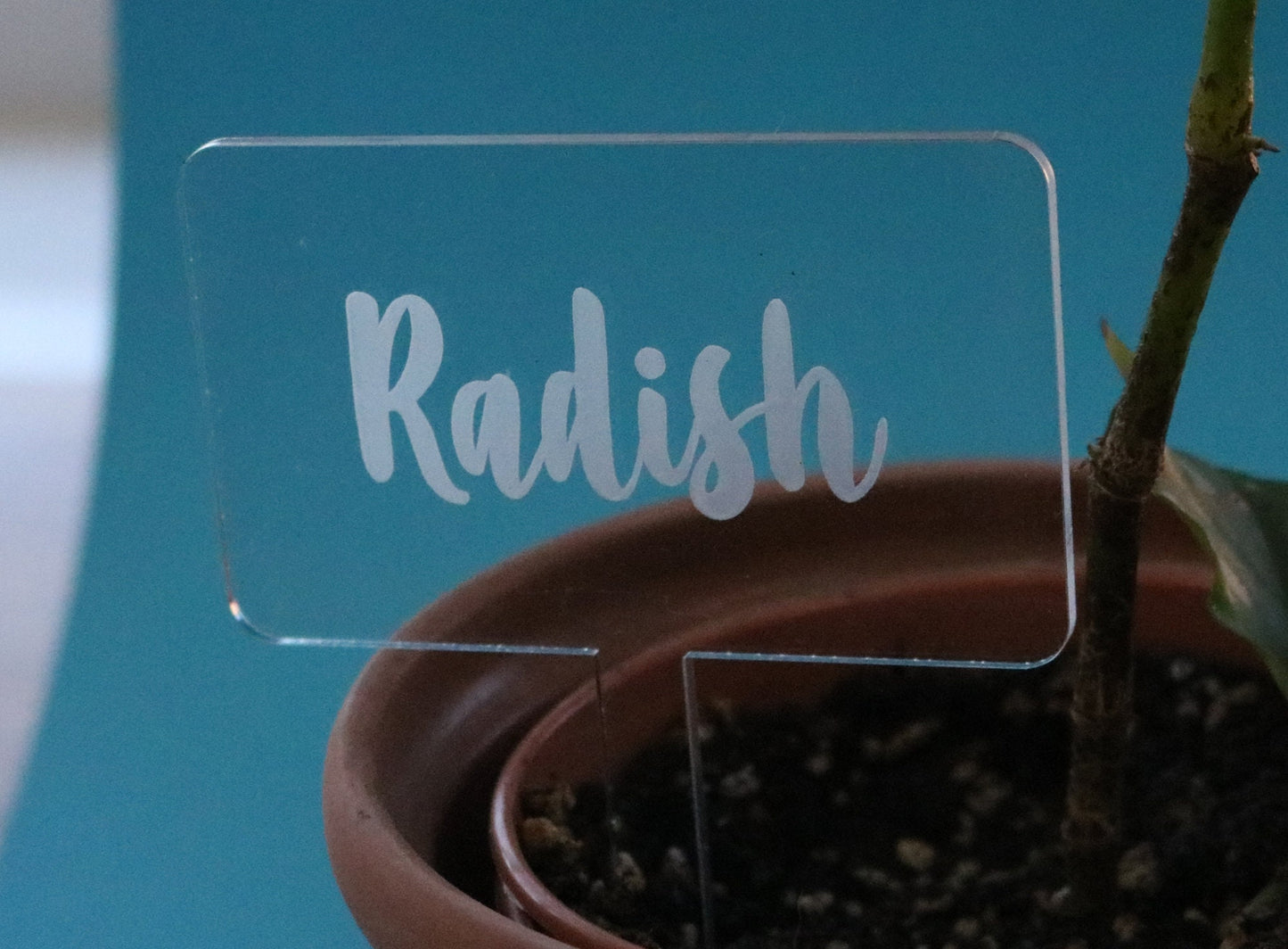 Vegetable & Herb Labels /Bulb and Flower Stakes /Garden Markers /Weatherproof Acrylic /Outdoor or Indoor Use /Plant Lover Gift /Customisable