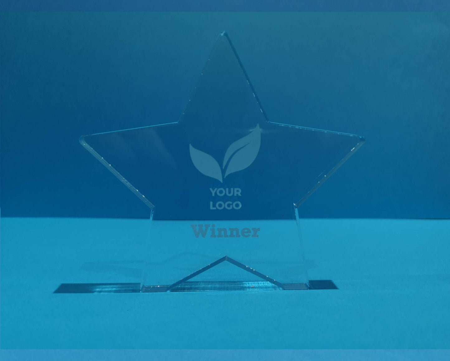 Personalised Star/Circle Acrylic Award - 10mm Thick