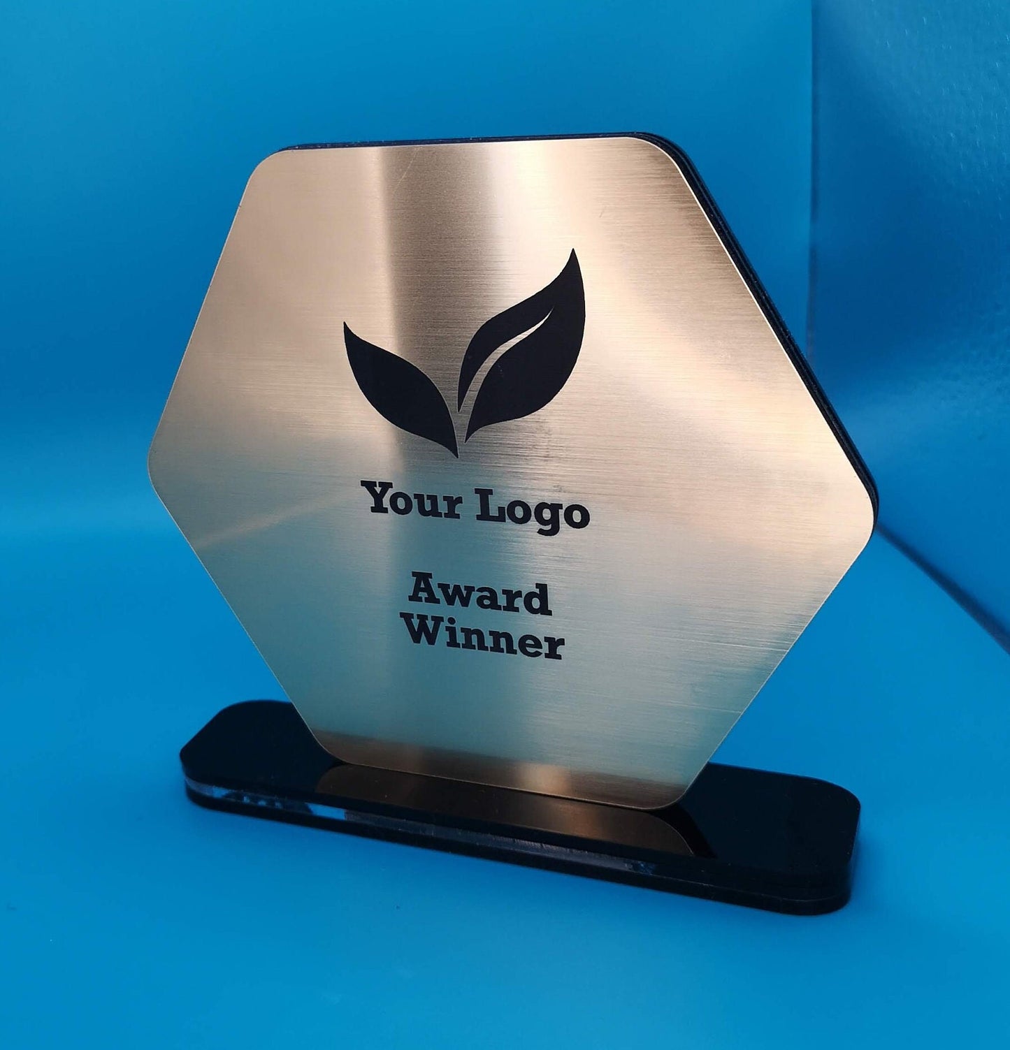 Personalisable Acrylic Hexagon Award