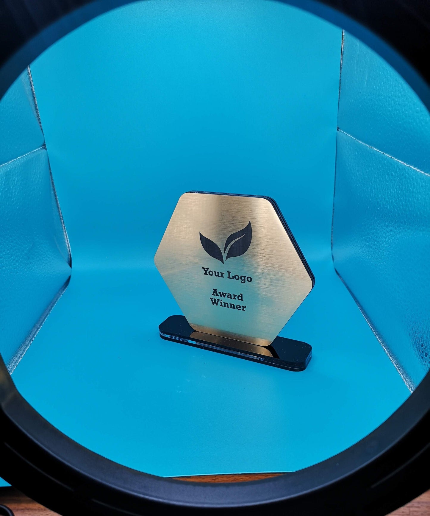 Personalisable Acrylic Hexagon Award